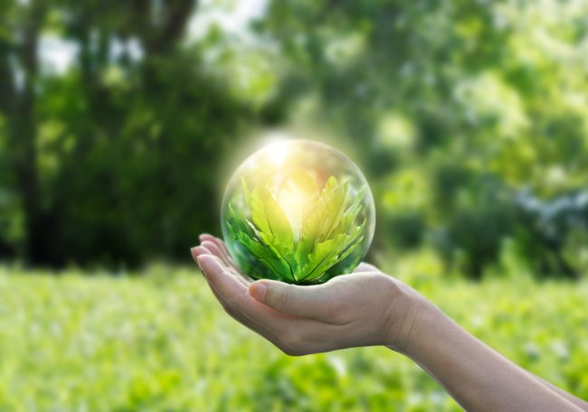 Hands protecting globe of green tree on tropical nature summer background, Ecology and Environment concept.